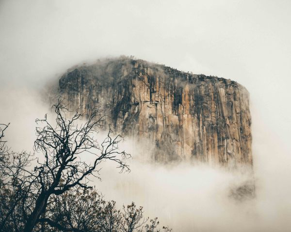 neilson landscape photography california yosemite el capitan claw and crag minimalism